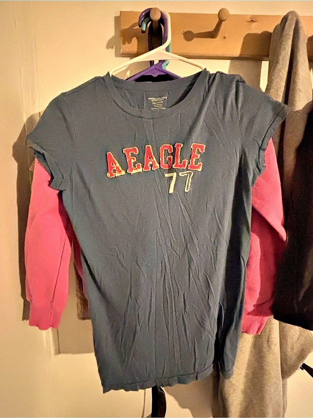 American Eagle Outfitters Graphic Eagle Short Sleeve Top in Gray & Pink